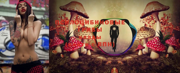 каннабис Алексеевка