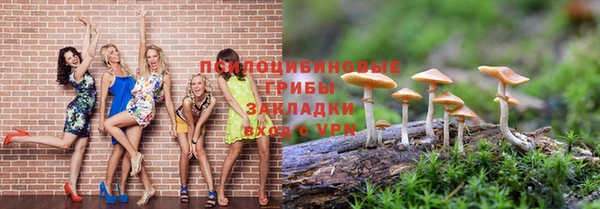 бутират Алексин
