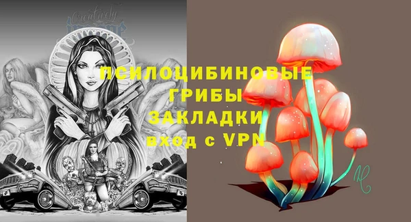 а пвп мука Сатка