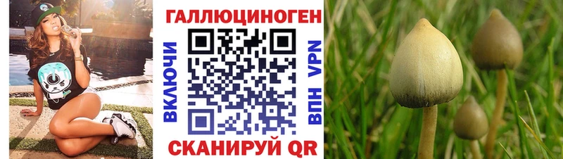 Псилоцибиновые грибы ЛСД  Багратионовск 